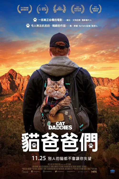 猫爸爸们海报