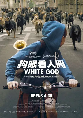 白色上帝海报