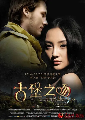 古堡之吻海报