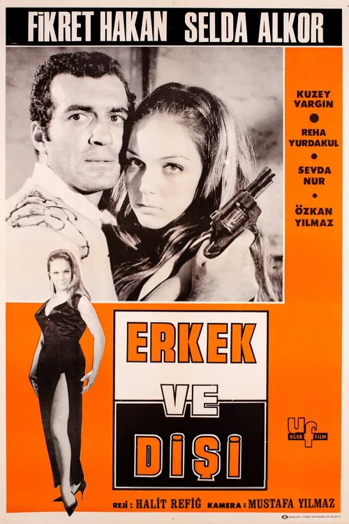 Erkek ve Dişi海报