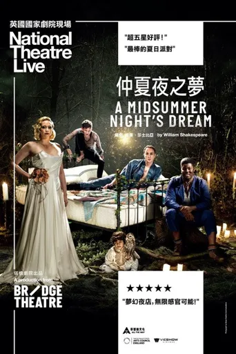仲夏夜之梦海报