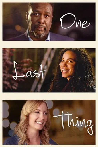 最后的愿望海报