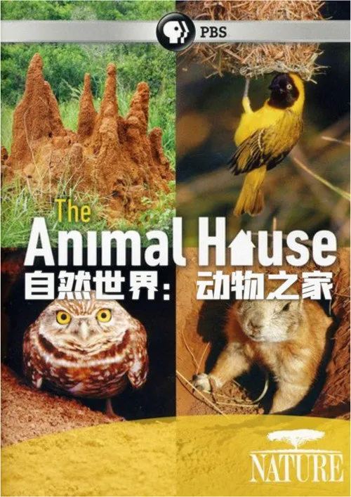 自然世界：动物之家海报