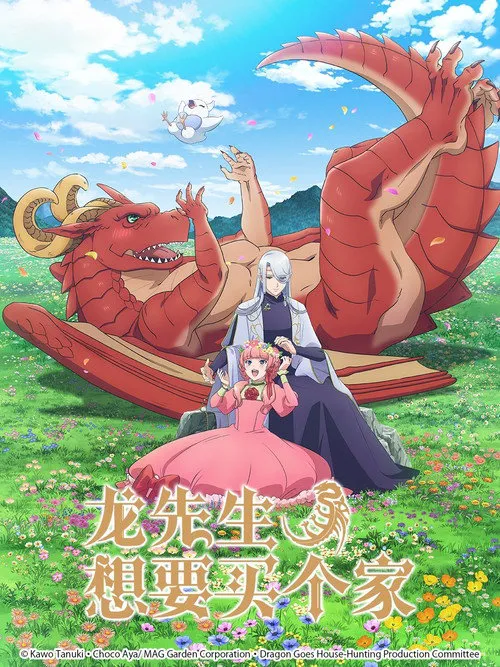 龙先生,想要买个家。海报
