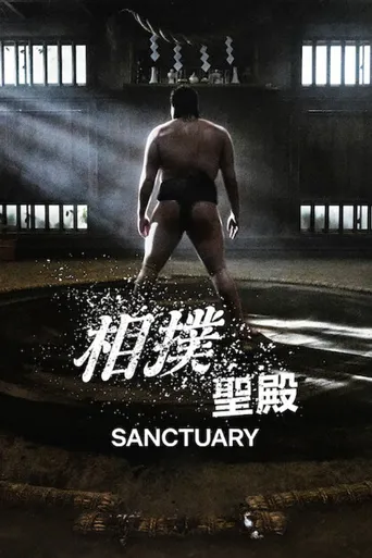 相扑避难所海报