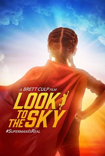Look to the Sky海报