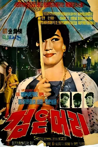 黑头发海报