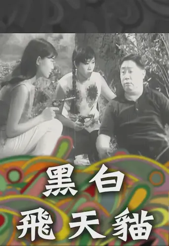 黑白飞天猫海报
