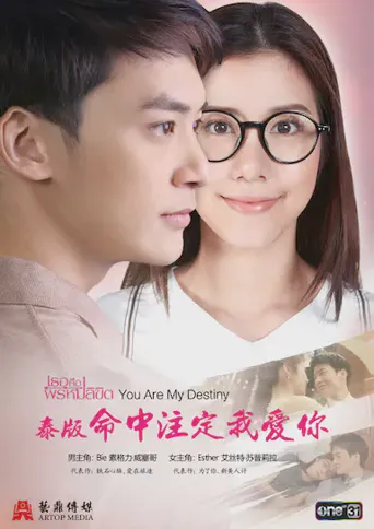 命中注定我爱你海报