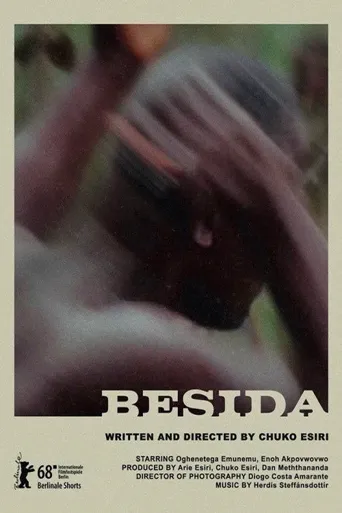Besida海报