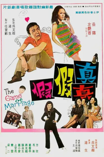 真真假假海报