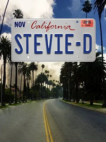 Stevie D海报