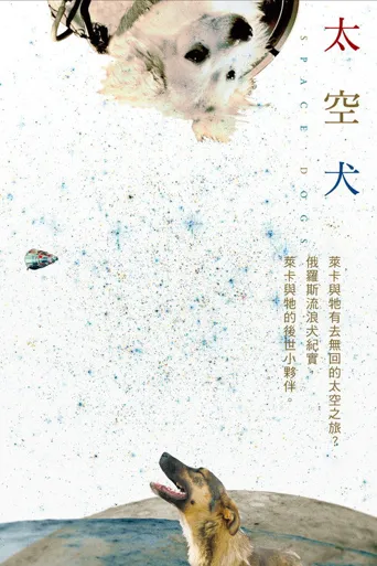太空狗海报