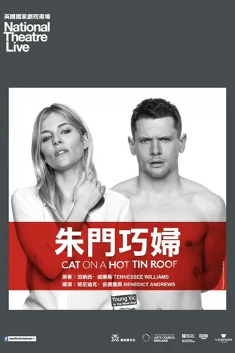 热铁皮屋顶上的猫海报