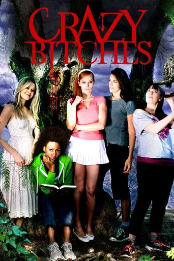Crazy Bitches海报