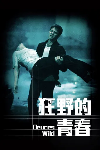 狂野的青春海报
