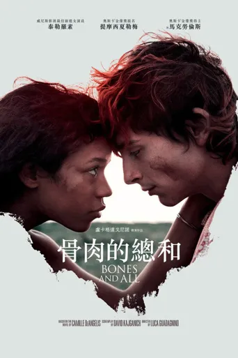 骨及所有海报
