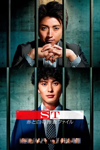 ST 红白的搜查档案海报