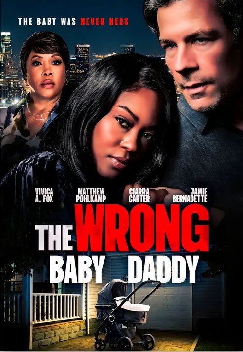 The Wrong Baby Daddy海报