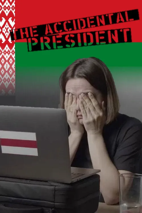 The Accidental President海报