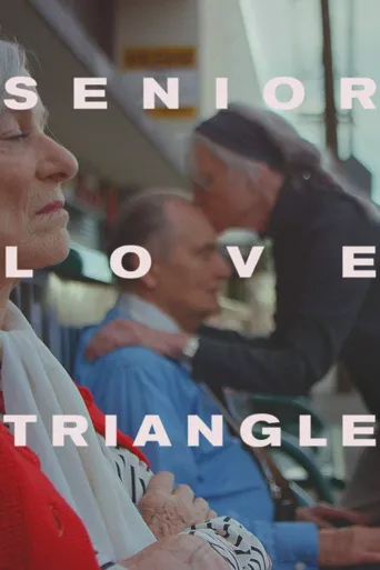 Senior Love Triangle海报