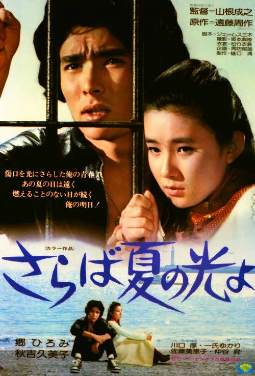 再见，夏日之光海报