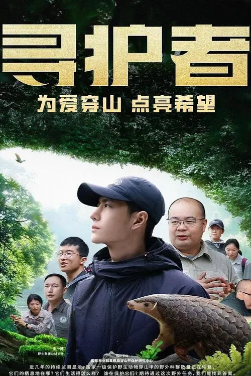 寻护者海报