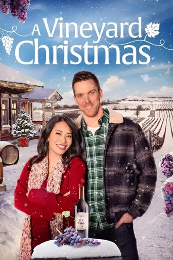 A Vineyard Christmas海报