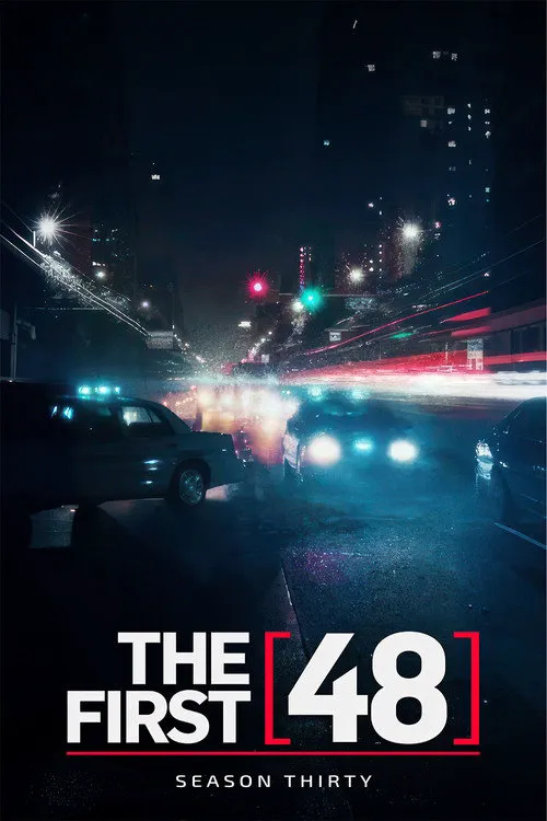 The First 48 第 30 季海报