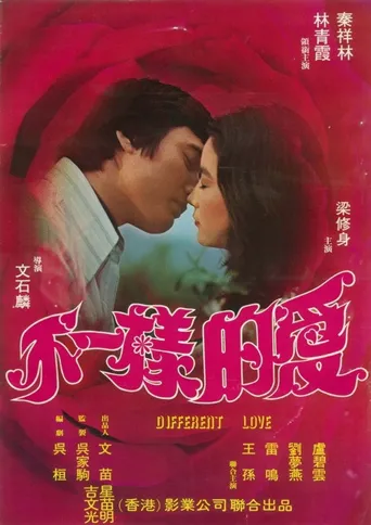 不一样的爱海报
