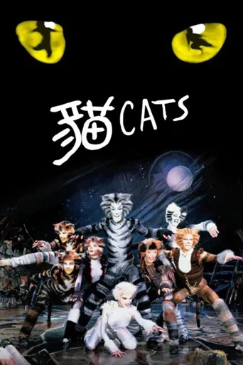 猫海报