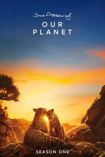 我们的星球 第 1 季海报