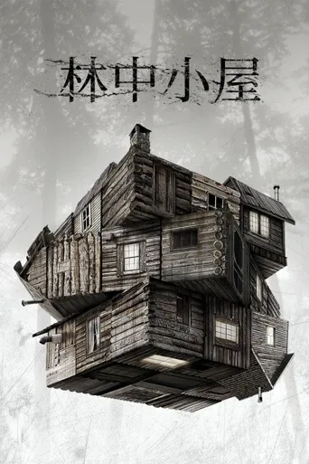 林中小屋海报