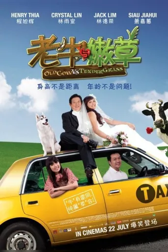 老牛与嫩草海报