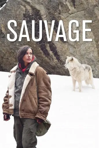 Sauvage海报
