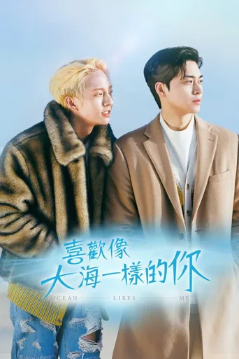 喜欢我的海海报