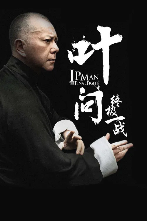 叶问:终极一战海报
