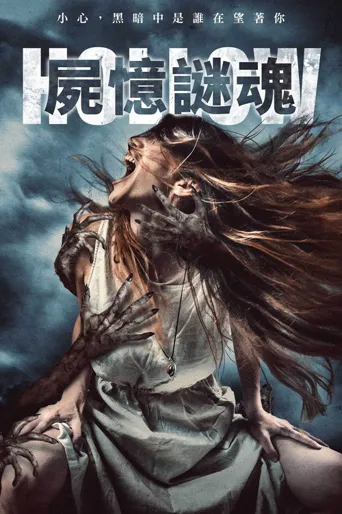 维文山海报