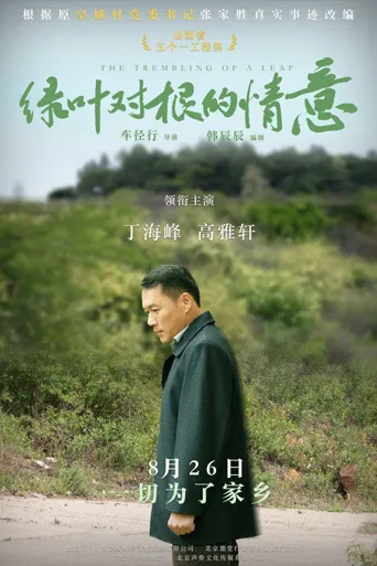 绿叶对根的情意海报