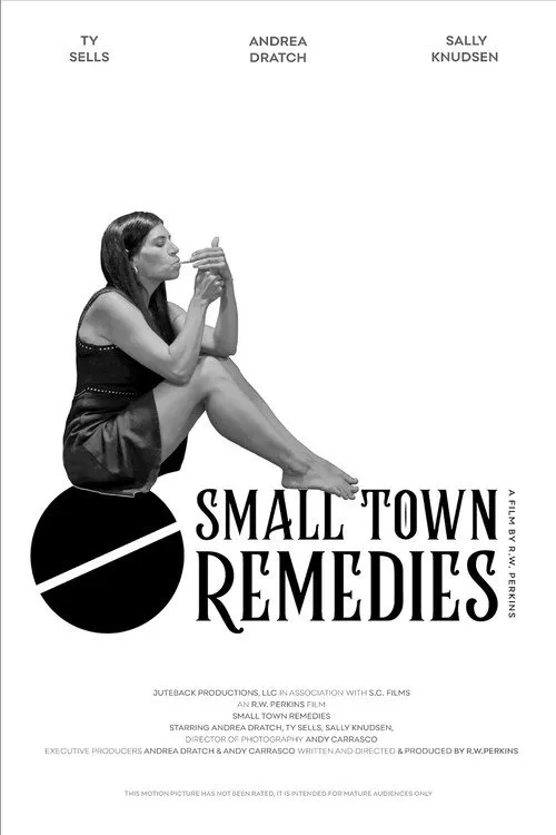 Small Town Remedies海报