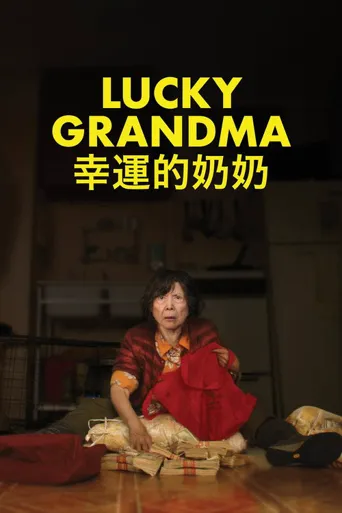 幸运的奶奶海报