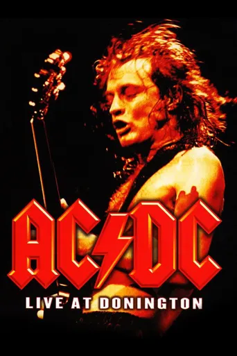 AC/DC：达宁顿现场海报