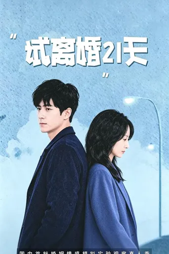 "试离婚”21天 第 1 季海报