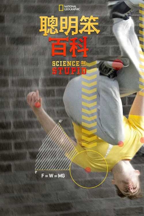 无厘头科学研究所 第 8 季海报