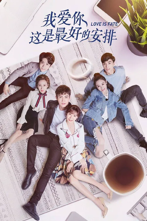 我爱你,这是最好的安排海报