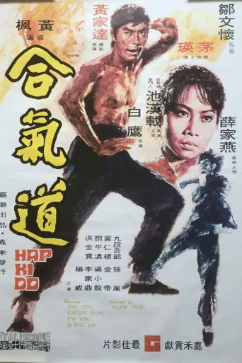 合气道海报