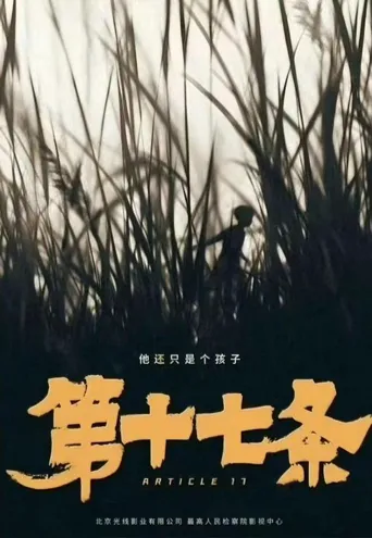 第十七条海报