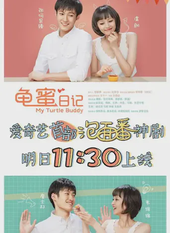 龟蜜日记海报