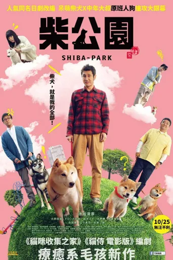 柴公园海报