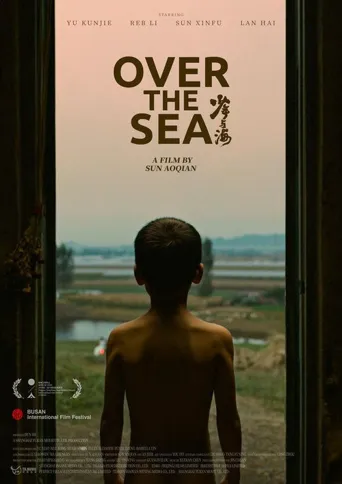 少年与海海报
